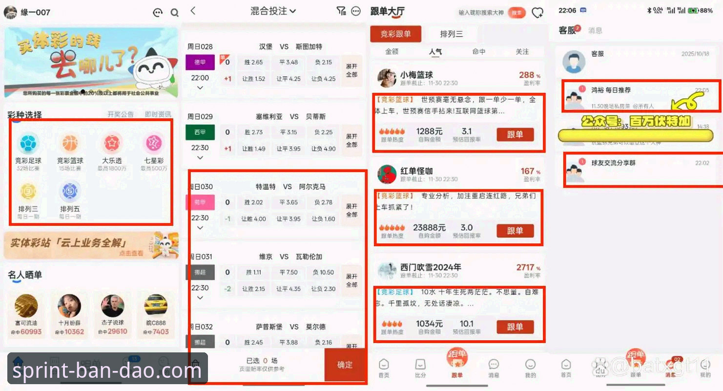 半岛体育数据评测：新手入门vs资深玩家体验，哪个更适合你？